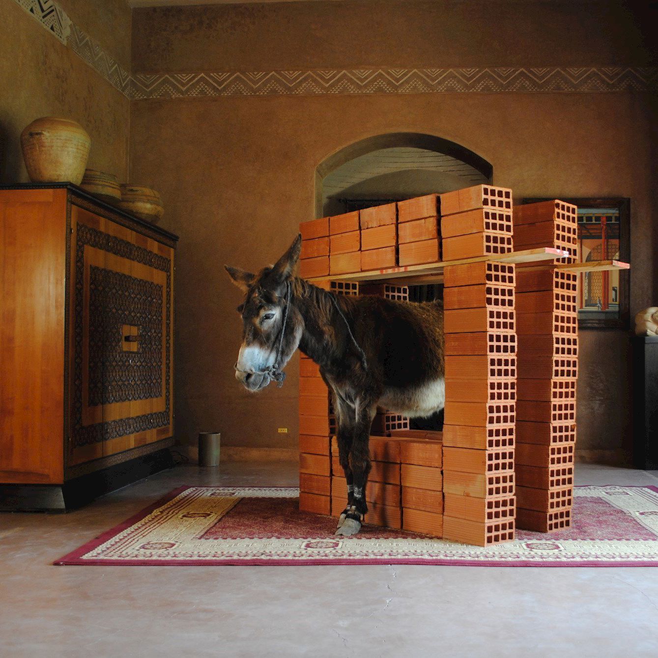 Hicham Benohoud: Anes Situ, 2013. Fra udstillingen Merchants of Dreams, 2016 på Viborg Kunsthal.