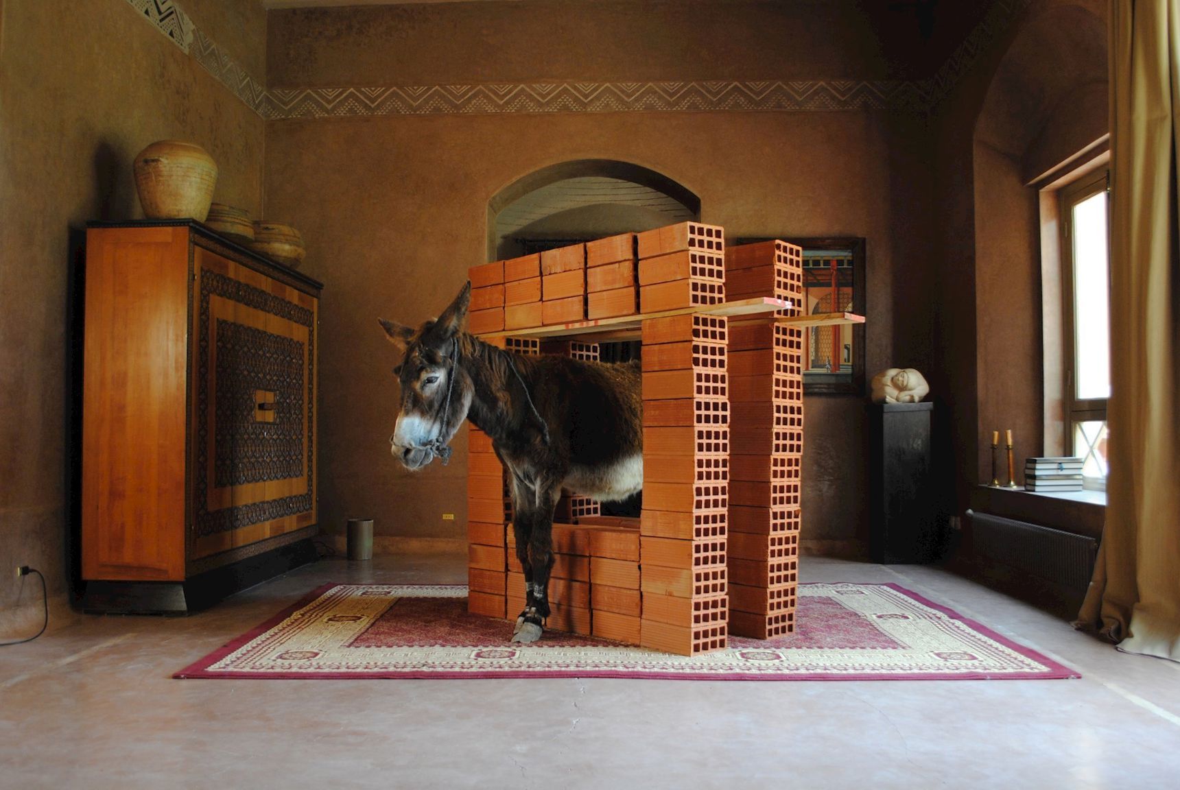 Hicham Benohoud: Anes Situ, 2013. Fra udstillingen Merchants of Dreams, 2016 på Viborg Kunsthal.
