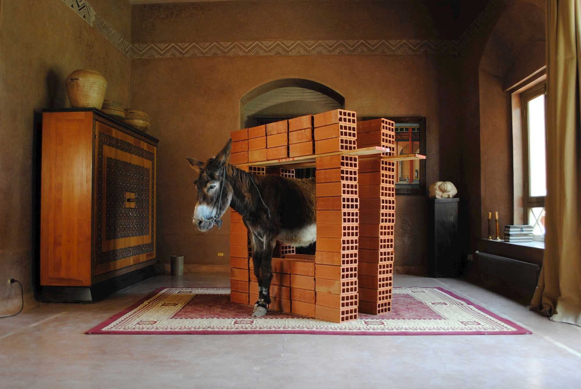 Hicham Benohoud: Anes Situ, 2013. Fra udstillingen Merchants of Dreams, 2016 på Viborg Kunsthal.