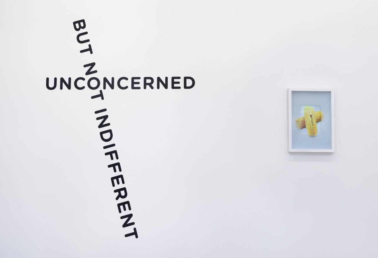 Installationsfoto. 'Oddly Satifying' Fryd Frydendahl, 2022