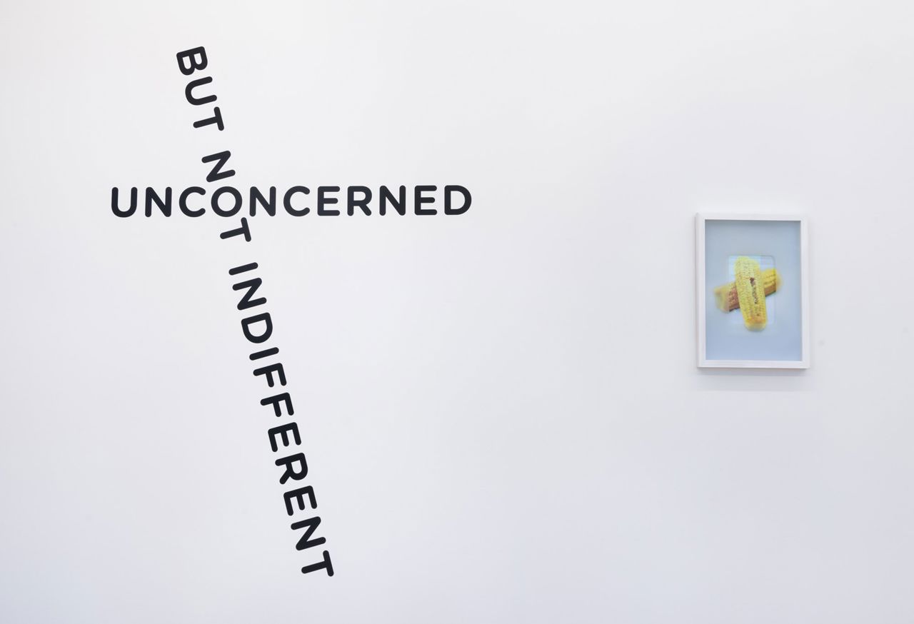 Installationsfoto. 'Oddly Satifying' Fryd Frydendahl, 2022