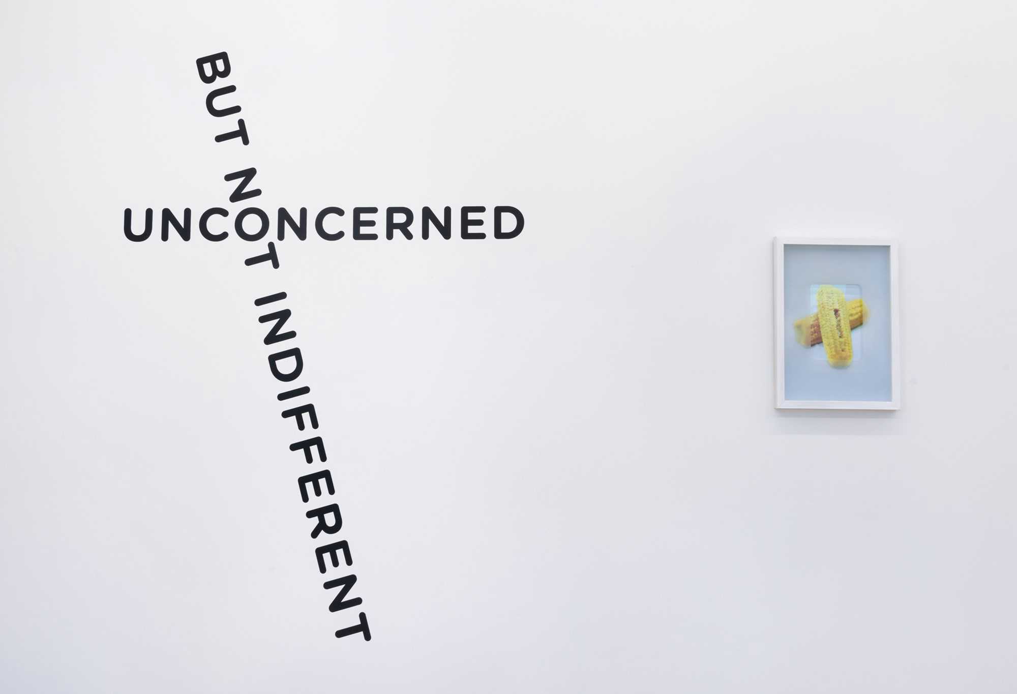 Installationsfoto. 'Oddly Satifying' Fryd Frydendahl, 2022