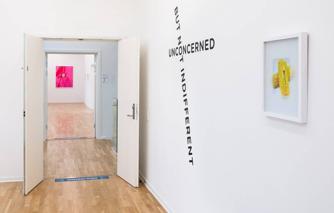 Installationsfoto. 'Oddly Satifying' Fryd Frydendahl, 2022