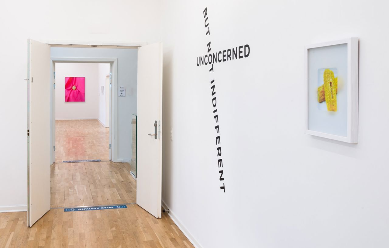 Installationsfoto. 'Oddly Satifying' Fryd Frydendahl, 2022