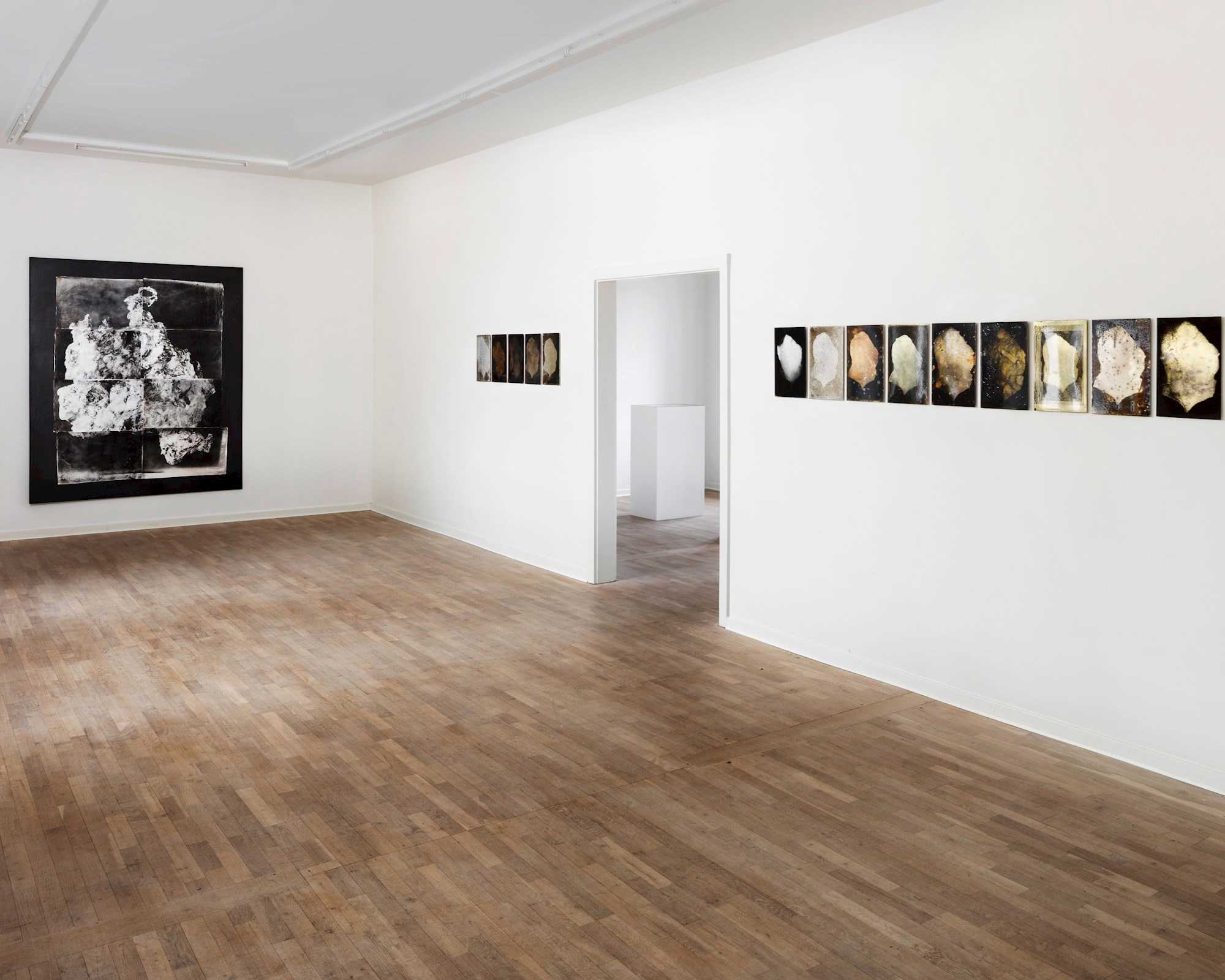 Element, 2016. Udstilling af Nicolai Howalt.