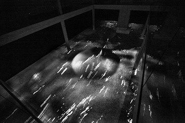 A Ride on the River, 2018-2019. Udstilling af Katja Bjørn.