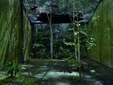 The Moonlight Room, 2010. Værkfoto af Helene Schmitz. Fotoudstilling Sunken Gardens på Viborg Kunsthal 2022