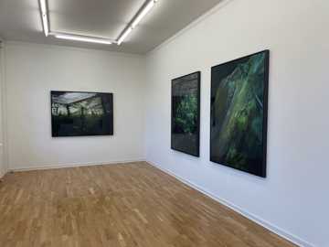 Installationsfoto 2022. Sunken Gardens af Helene Schmitz, Viborg Kunsthal