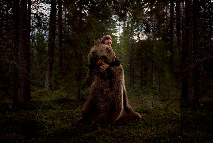 The Bear, 2023 fra udstillingen Jagt på Viborg Kunsthal