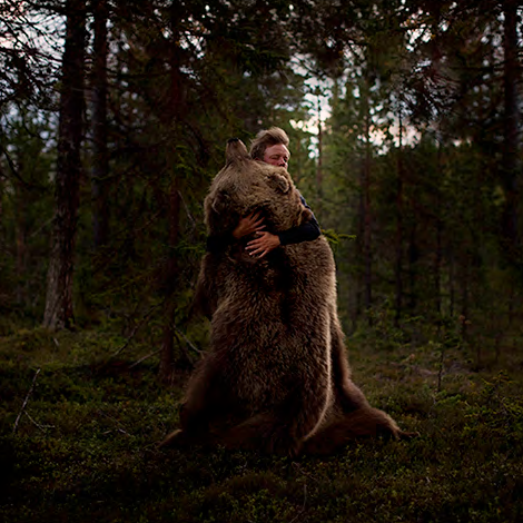 The Bear, 2023 fra udstillingen Jagt på Viborg Kunsthal
