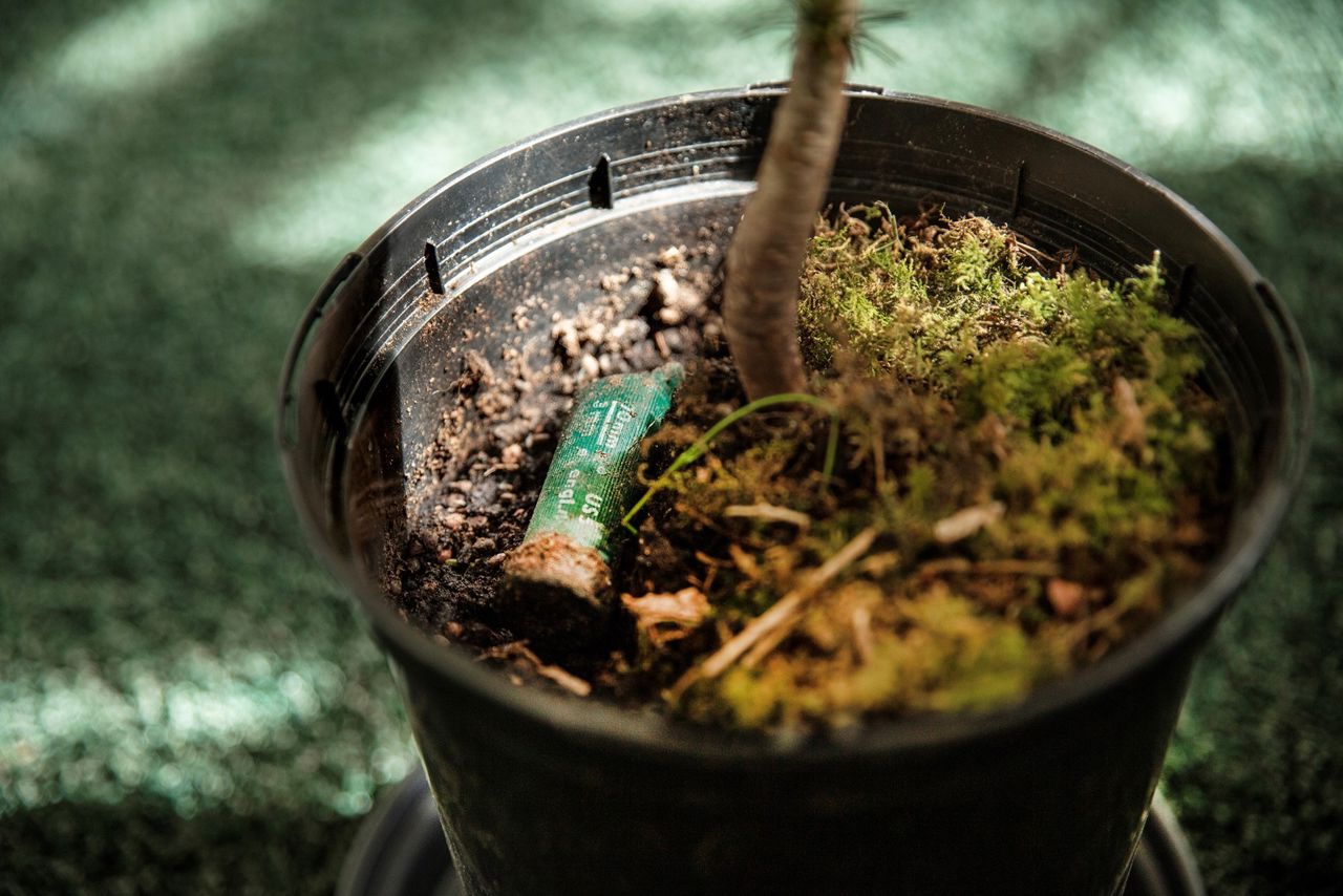 Jagt, Stine Kvam, 2023. Viborg Kunsthal.