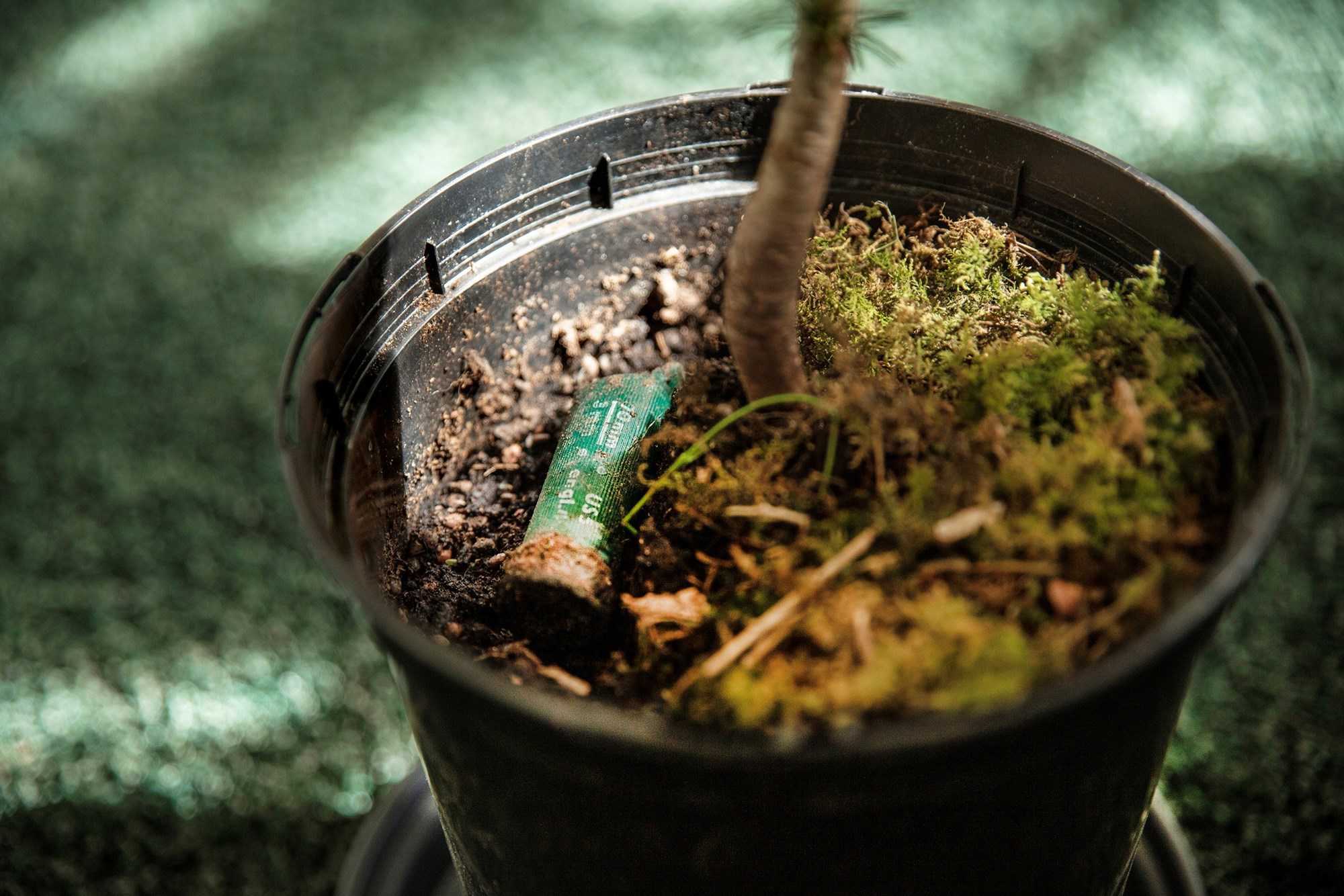 Jagt, Stine Kvam, 2023. Viborg Kunsthal.