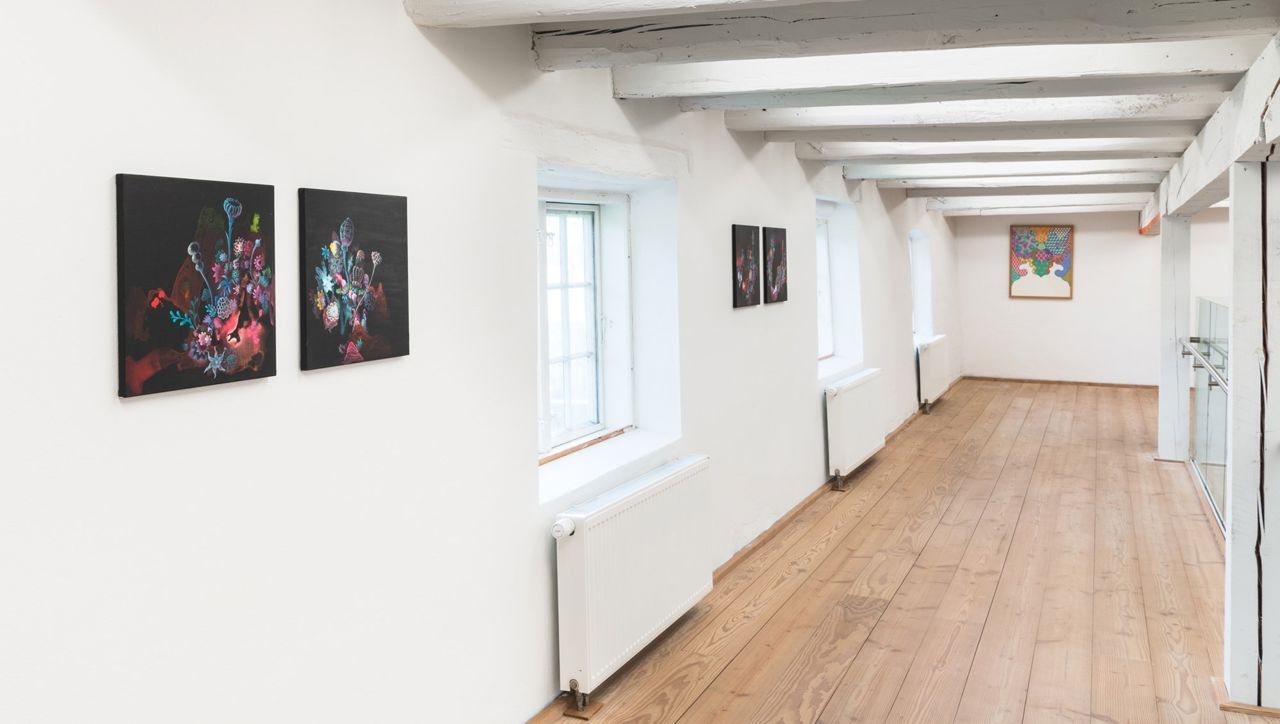 Installationsfoto af udstillingen Enredado på Viborg Kunsthal