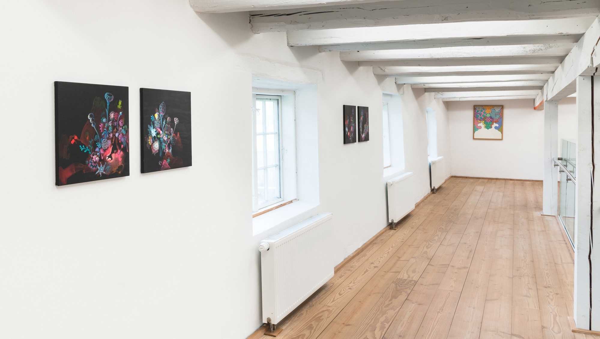 Installationsfoto af udstillingen Enredado på Viborg Kunsthal