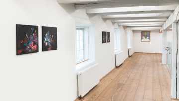 Installationsfoto af udstillingen Enredado på Viborg Kunsthal