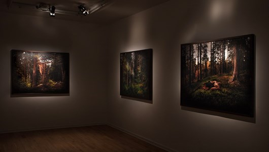 Jagt, Lykke Andersen, 2023. Viborg Kunsthal. Foto Lykke Andersen