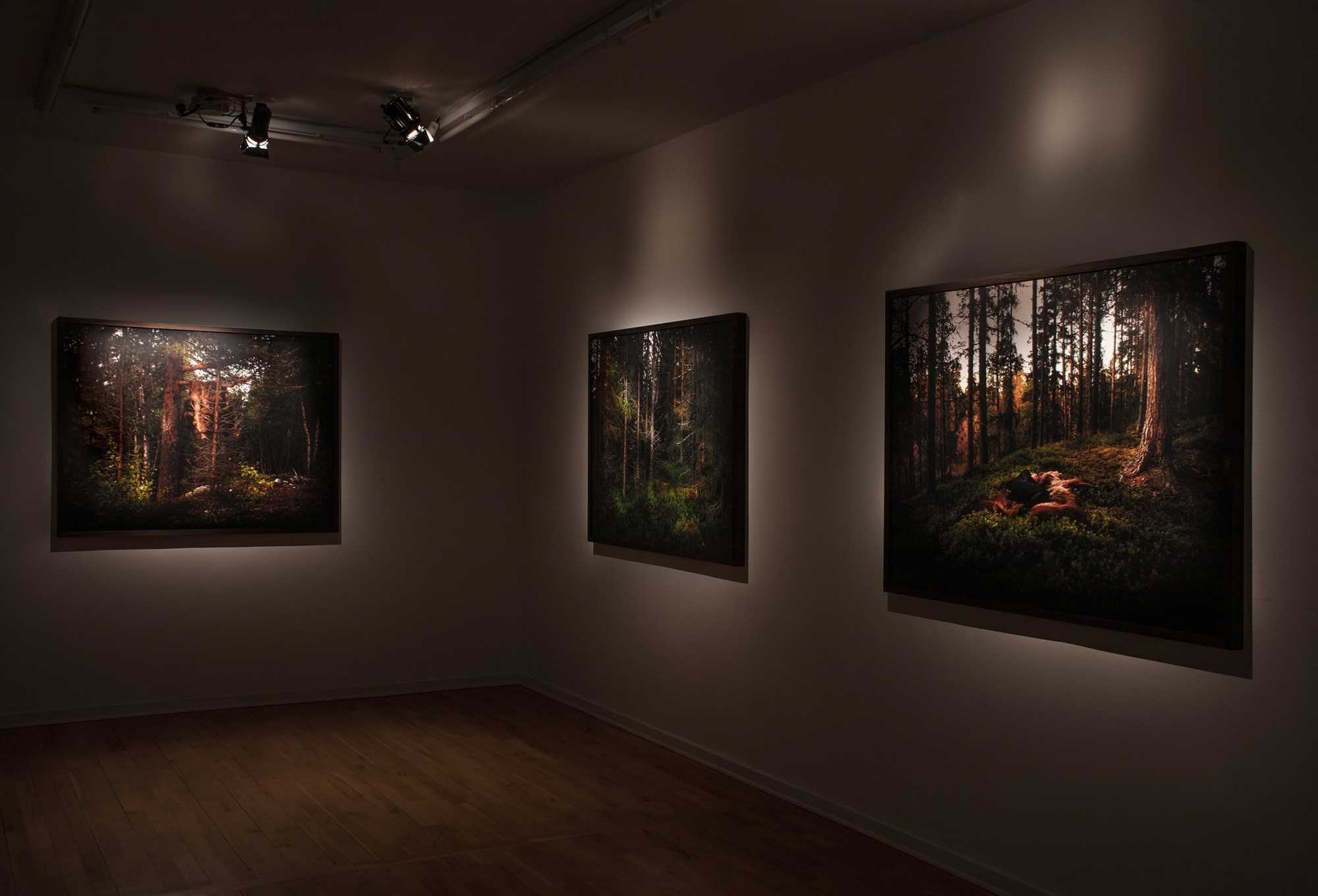 Jagt, Lykke Andersen, 2023. Viborg Kunsthal.