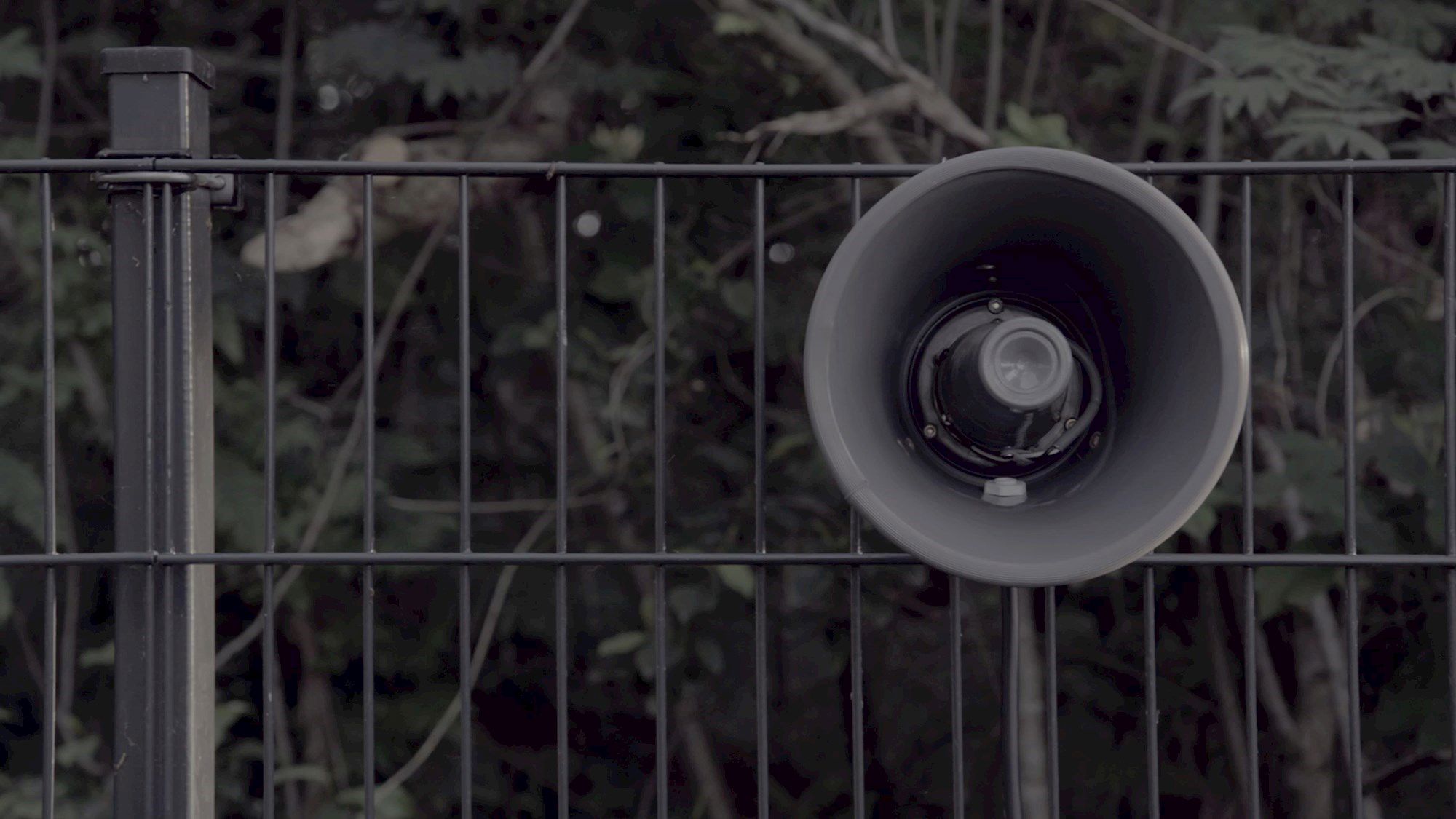 Ved Hegnet, 2019. Udstilling af Hanne Nielsen & Birgit Johnsen.