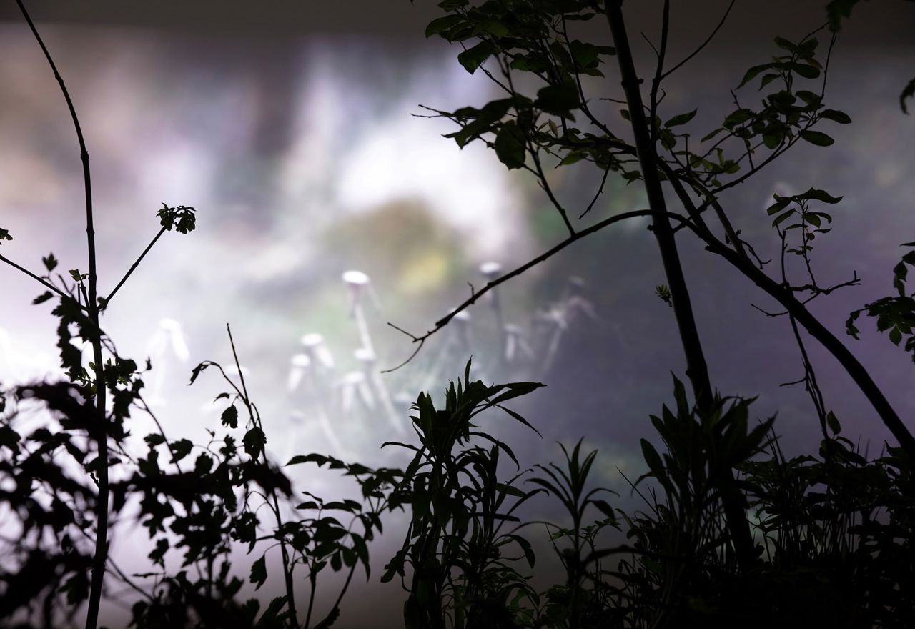 Jagt, Stine Kvam, 2023. Viborg Kunsthal.