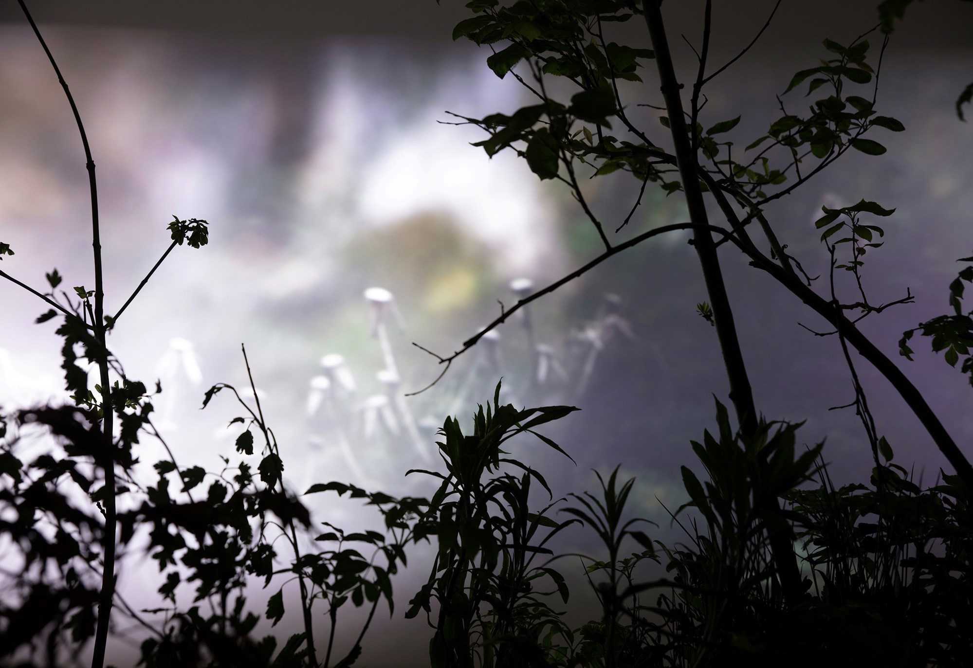 Jagt, Stine Kvam, 2023. Viborg Kunsthal.